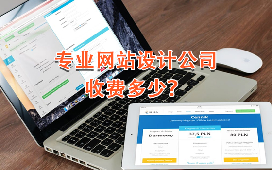 專業(yè)網(wǎng)站設(shè)計(jì)公司收費(fèi)多少？